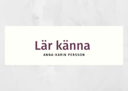 Lär känna Anna-Karin Persson