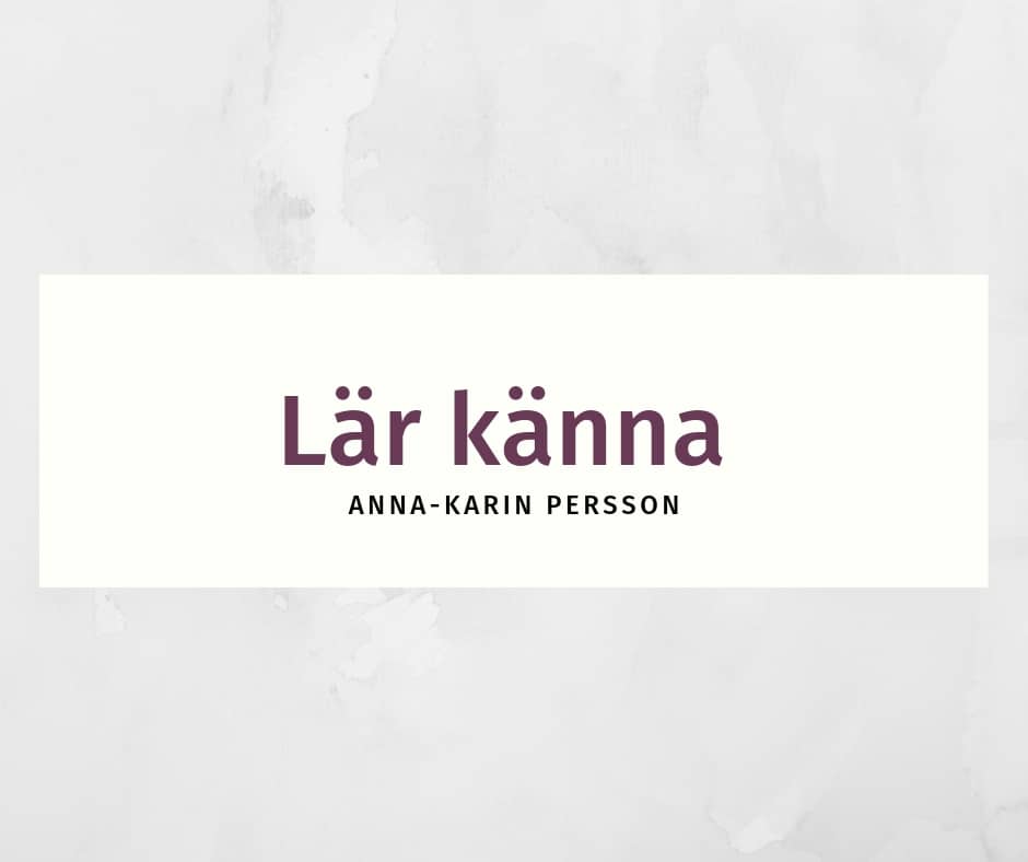Lär känna Anna-Karin Persson