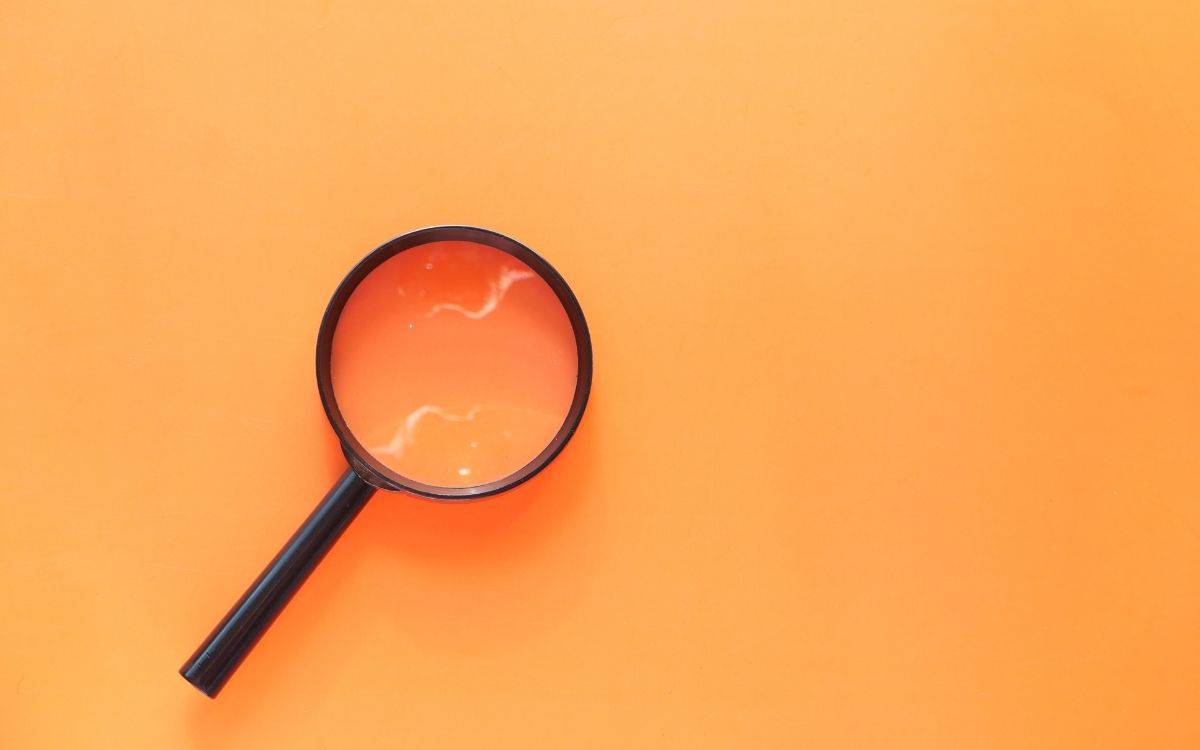 Bild på ett förstoringsglas.