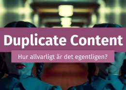 kuslig bild på tvillingar