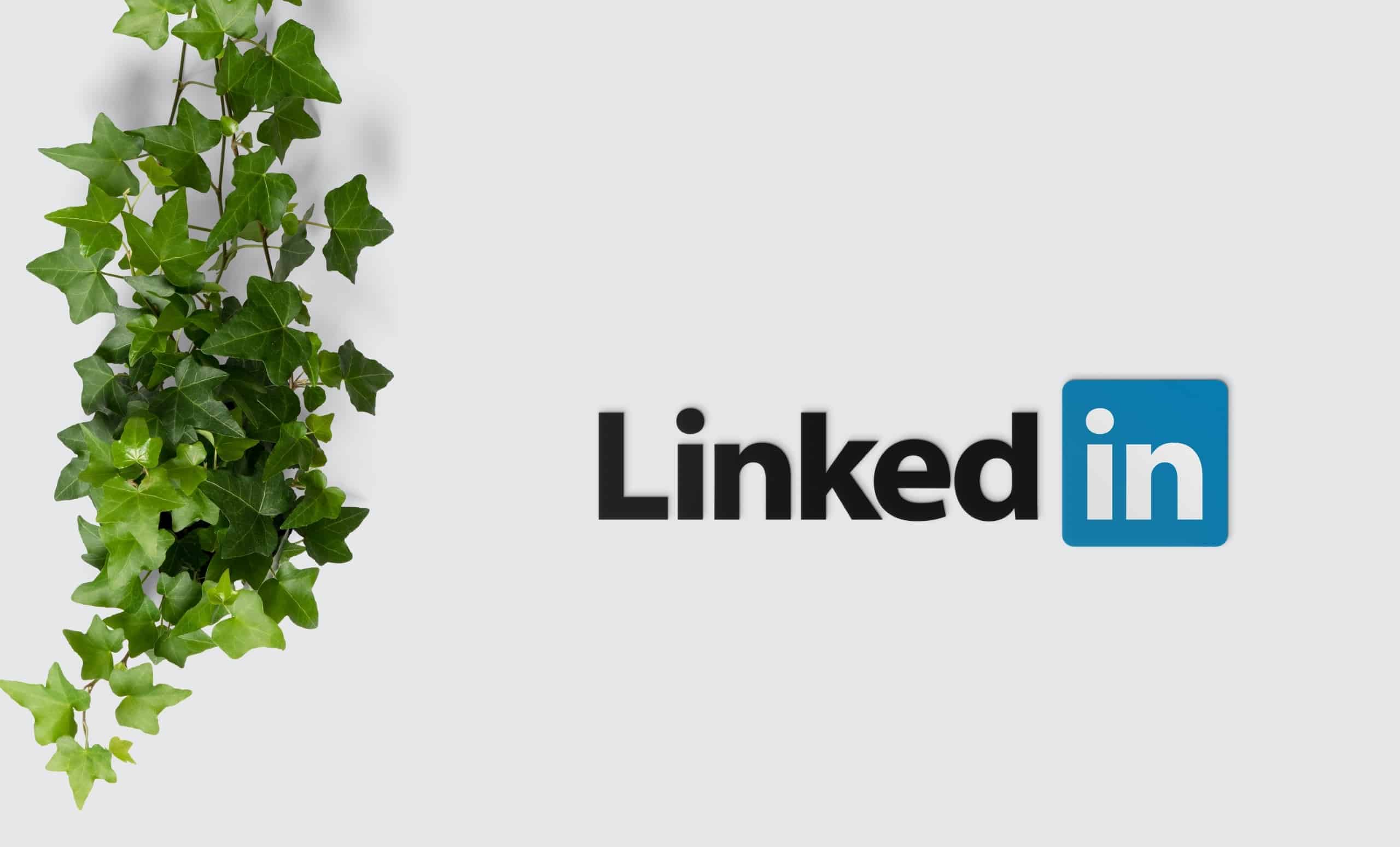 Digitala nyheter Linkedin