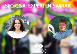 SEO experten svarar
