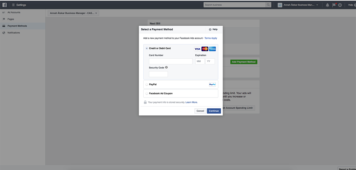 payment overview Facebook business manager