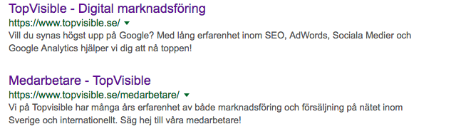 Sökresultat från Google