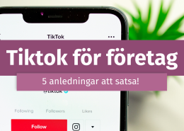 inlägg om tiktok