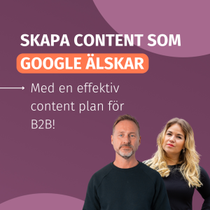 content plan för B2B webinar topvisible