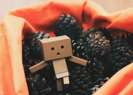 Amazon leverenskedja