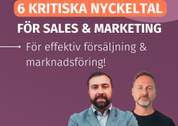webinar kpier för sales och marketing