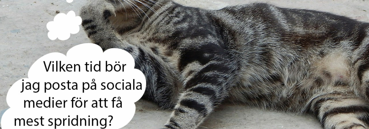 Sociala medier publicering