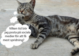 Sociala medier publicering